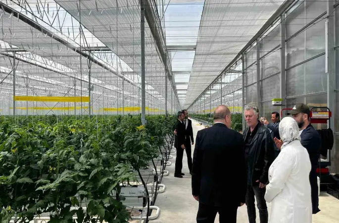 Düzce’den Seracılık İhtisas Organize Tarım Bölgesi’nde inceleme
