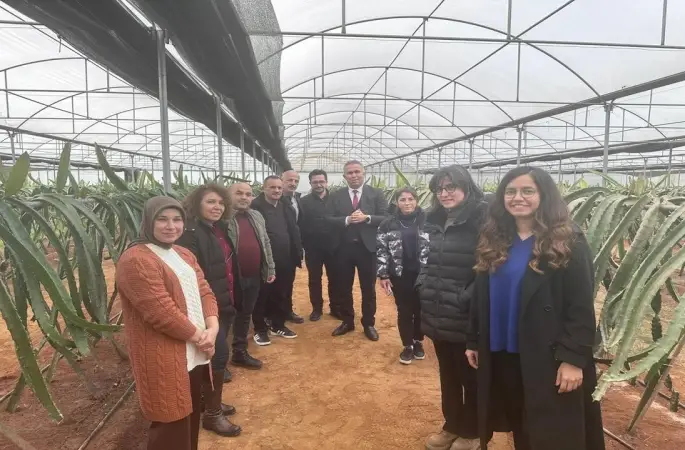 "Efeler’de Pitaya Güçleniyor" projesi incelendi
