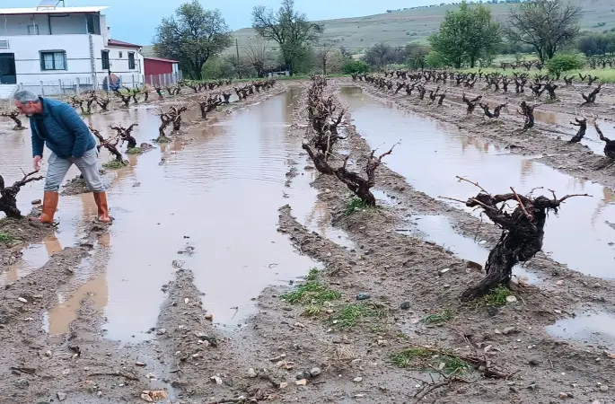 Elazığ’da dolu yağışı sonrası hasar tespit çalışması

