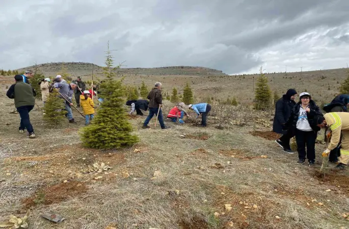 Elazığ’da fidan dikim etkinliği
