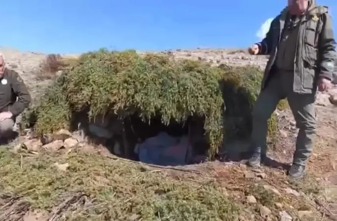 Elazığ’da kaçak meterisler  imha edildi
