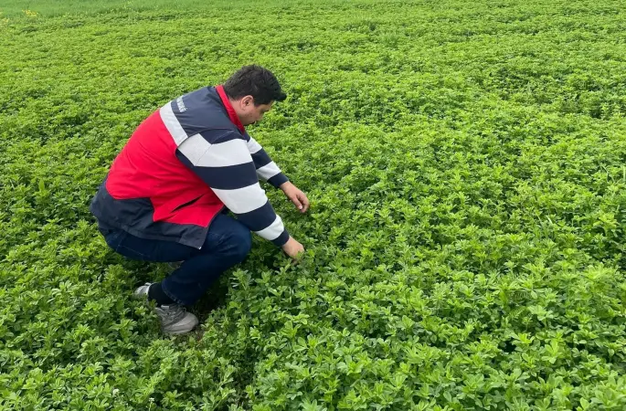Emet’te yonca üretimine yönelik denetimler devam ediyor
