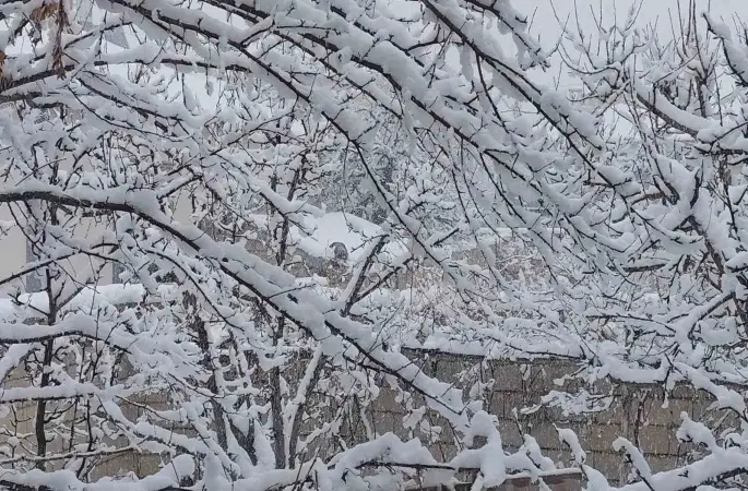 Erciş’te mart ayında kar yağışı
