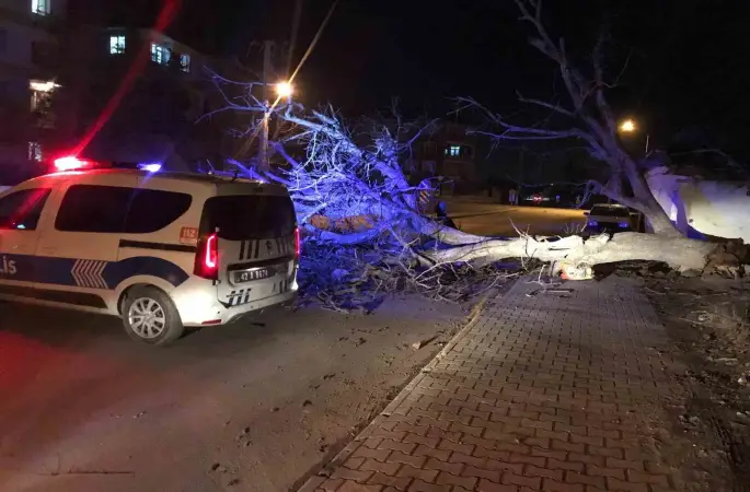 Ereğli’de şiddetli rüzgar ağaçları devirdi, çatıları uçurdu
