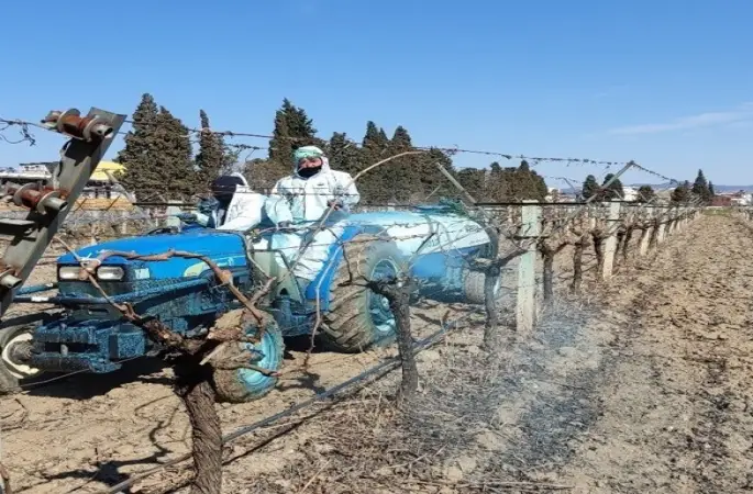 Erzincan Tarım Müdürlüğü’nden bordo bulamacı uyarısı: Uygulama zamanını kaçırmayın
