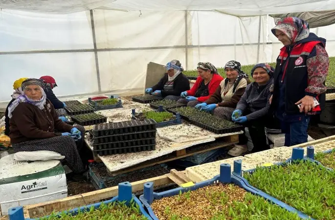 Erzincan’da seralarda fide denetimi sürüyor
