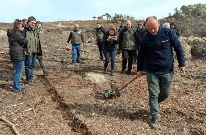 Eskişehir’de yangın sonrası ağaçlandırma çalışmaları başladı
