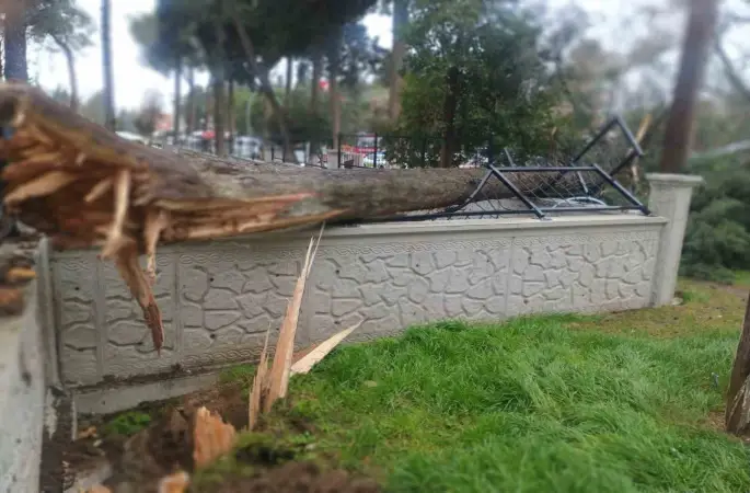 Fırtına Tavas’ta hayatı felç etti
