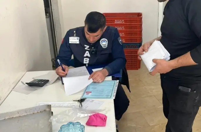 Germencik’te ruhsatlar kontrol edildi
