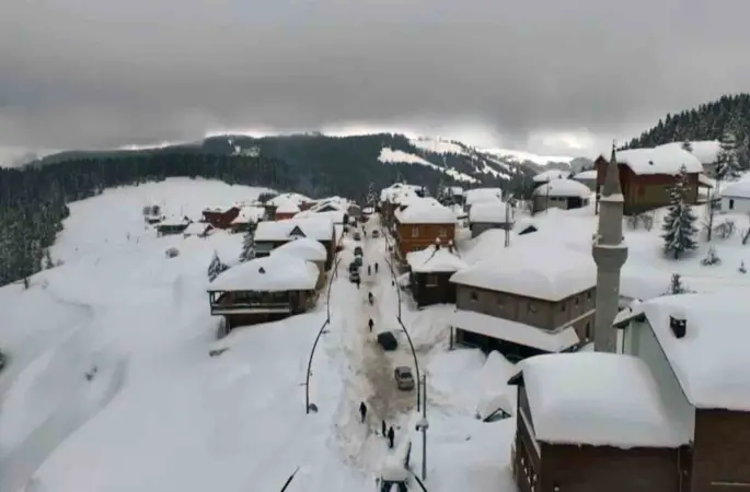Giresun yaylalarında görsel şölen
