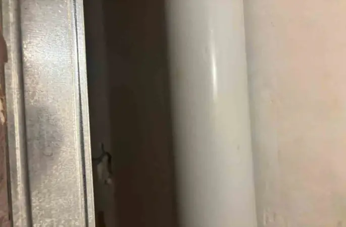 Gri kategoride aranan FETÖ firarisi Şadan Sakınan yakalandı
