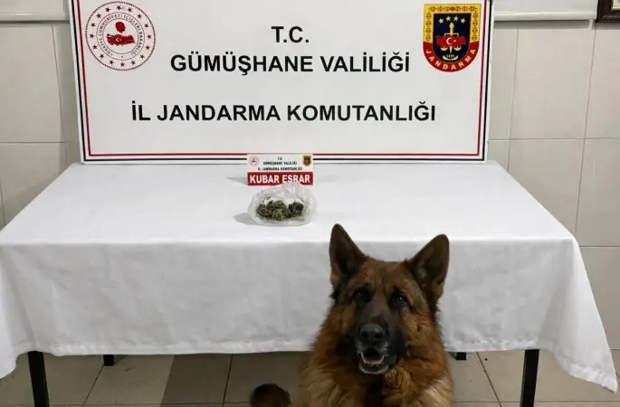 Gümüşhane’de uyuşturucu operasyonu
