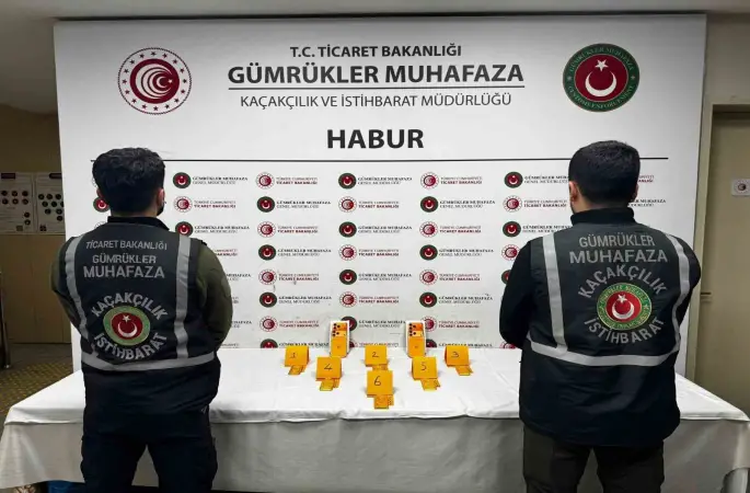 Habur’da ayakkabı içerisinde 41 kilo altın ele geçirildi
