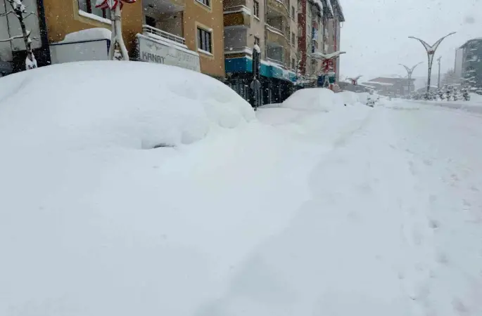 Hakkari’de 357 yerleşim yerinin yolu kapandı
