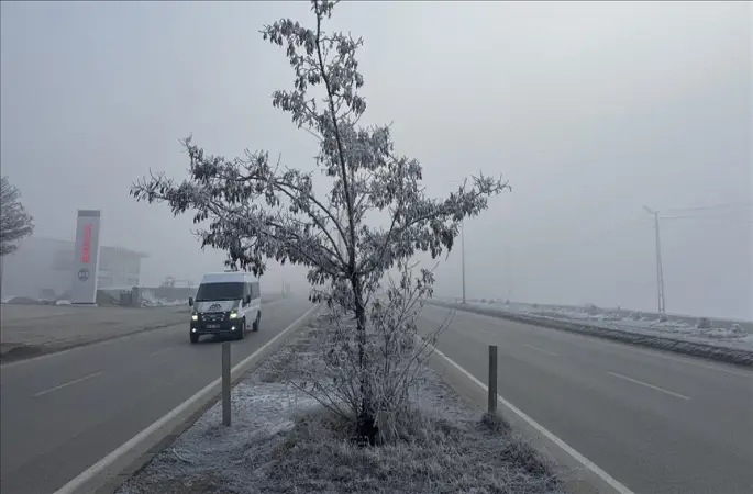 Hakkari'de soğuk hava ve sis etkili oldu