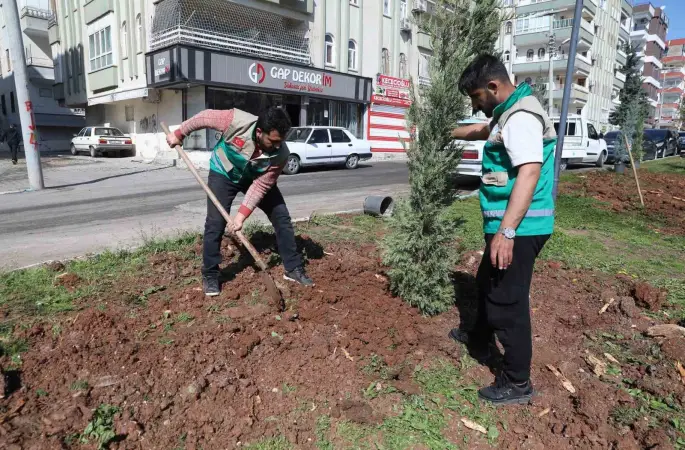 Haliliye’de yaz öncesi parklarda hummalı çalışma
