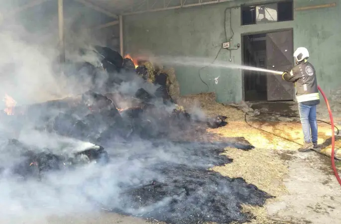 Harada çıkan yangında 70 balya saman yandı

