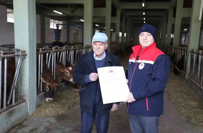 Hayvancılıkta örnek işletmenin ’Hastalıktan Ari Sertifikası’ yenilendi

