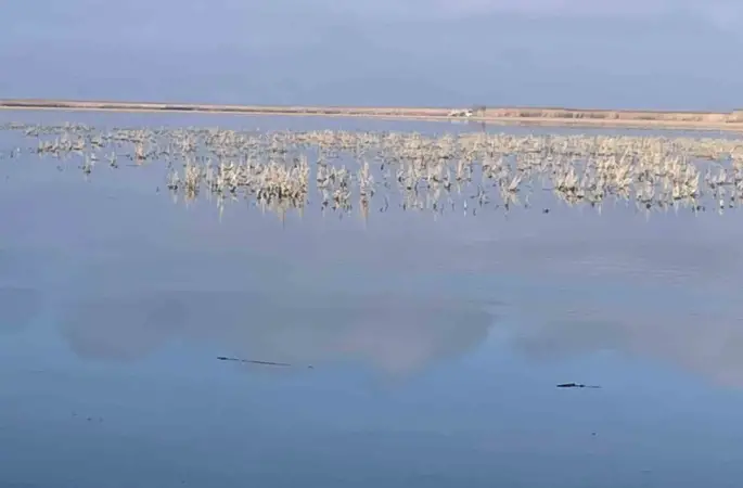 Her damlanın Eber Gölü’ne ulaşması için topyekun mücadele
