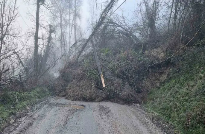 Heyelan köy yolunu ulaşıma kapattı
