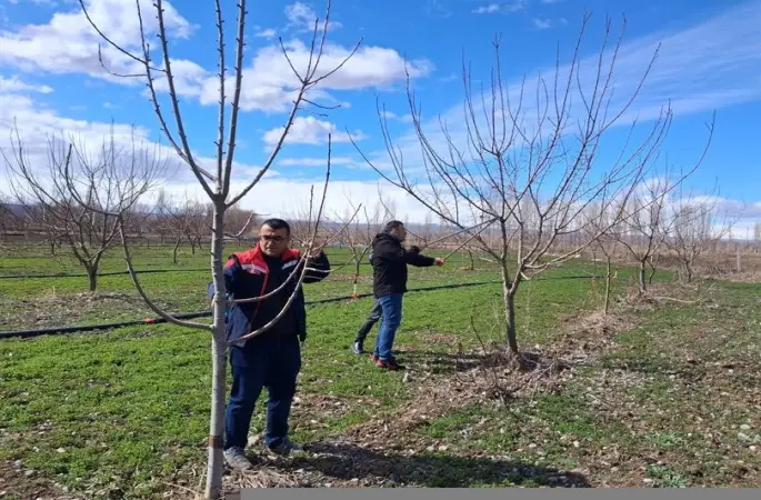 Iğdır’da çiftçilere uygulamalı meyve ağacı budama eğitimi
