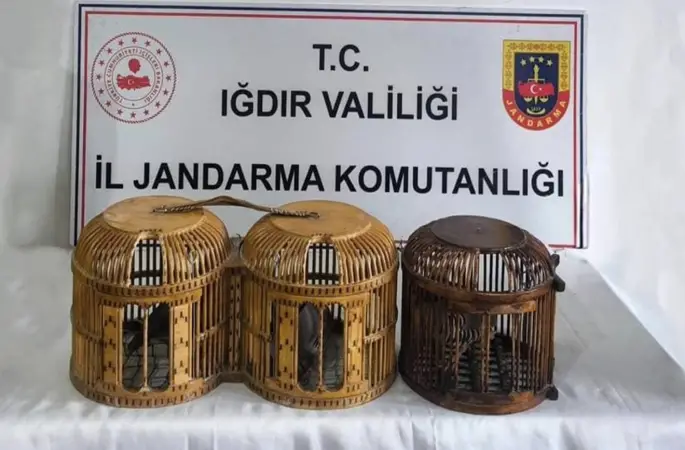 Iğdır’da kaçak keklik avına suçüstü: 72 bin TL ceza

