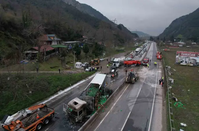 İki tır çarpıştı, D-650 savaş alanına döndü
