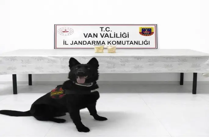 İranlı şahıs üzerinde 510 gram eroin ele geçirildi.
