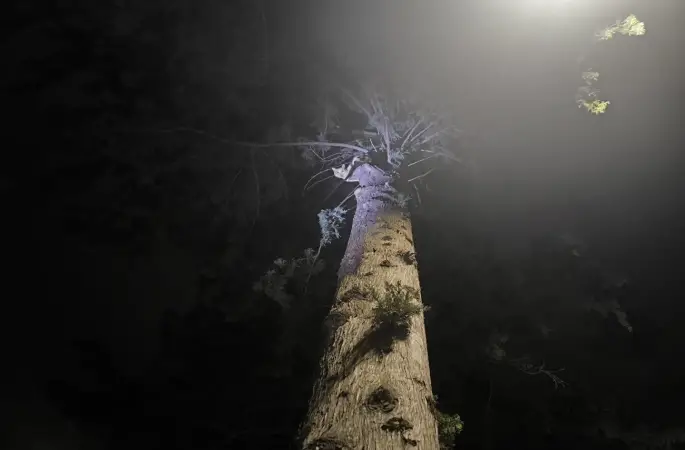 İskenderun’da ağaçta mahsur kalan kediyi itfaiye kurtardı
