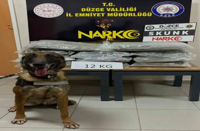 İstanbul’dan Ankara’ya uyuşturucu götürüyordu, Düzce’de yakalandı
