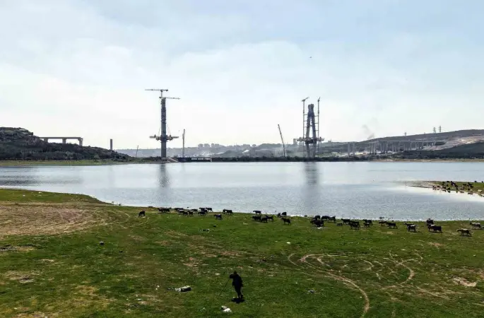 İstanbul’un yeni yüzü; köprü yükselirken keçiler merada

