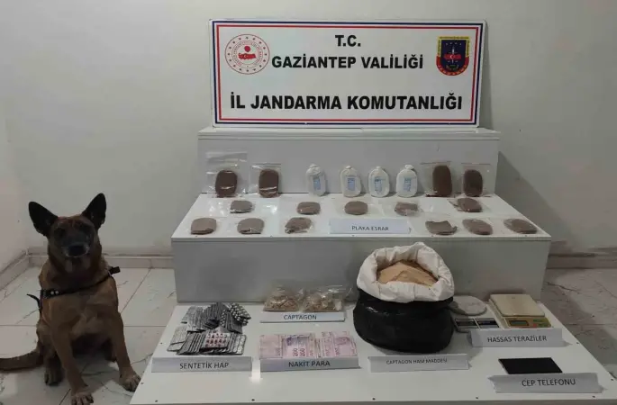 Jandarmanın uyuşturucu ve kaçakçılık operasyonlarında 10 şahıs tutuklandı
