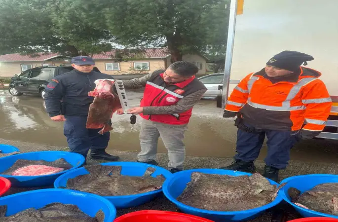 Kaçak avcılık operasyonunda 500 kalkan balığına el konuldu
