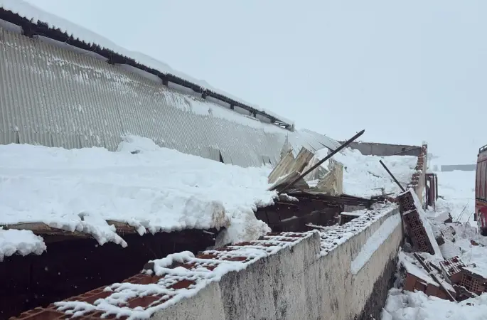 Kar nedeni ile ahırın çatısı çöktü, 11 hayvan telef oldu
