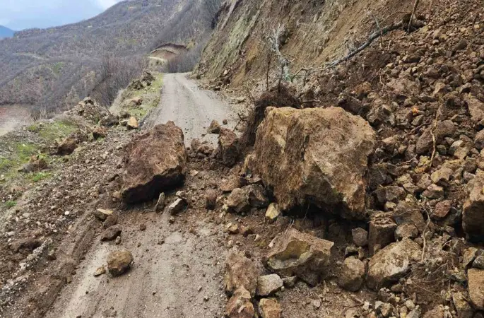 Karakoçan’da toprak kayması
