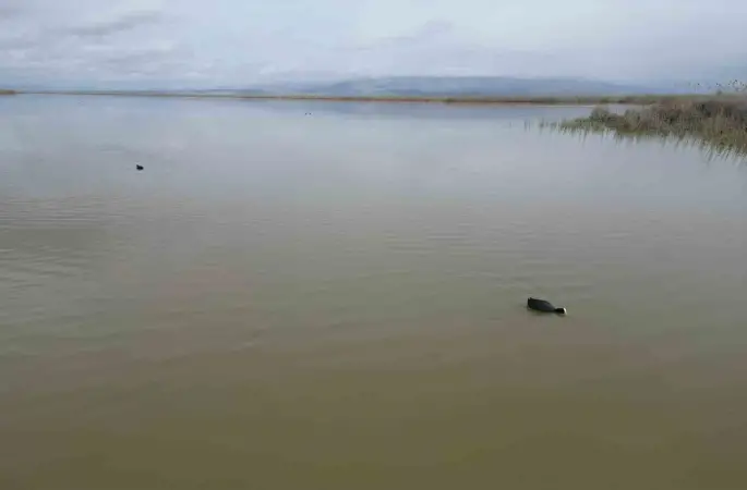 Karaya oturan kayıklar, su seviyesi artınca yüzmeye başladı, ortaya çıkan adacıklar yok oldu
