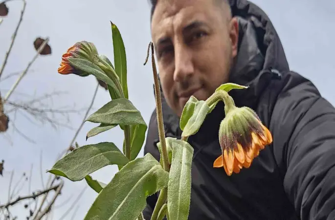 Karın başkenti Bitlis’te şubat sürprizi: Çiçekler karlar arasında açtı
