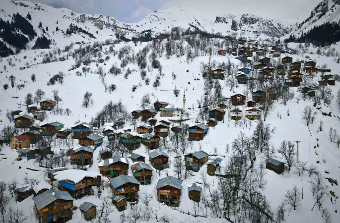Karlar altındaki doğal yaşam Maden köyünde sanatla buluştu
