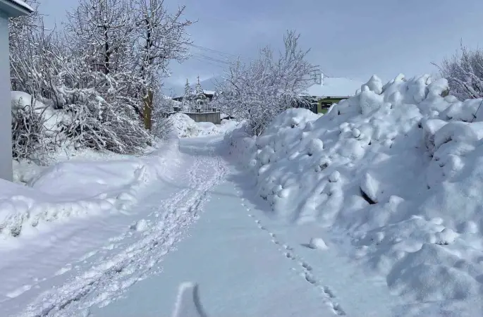 Karlıova’da kar yağışı etkisini sürdürüyor

