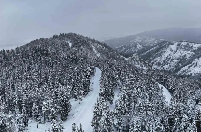 Kastamonu ormanlarında kış güzelliği
