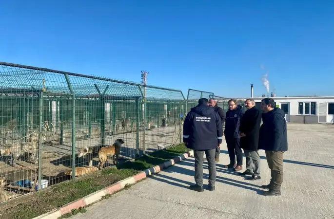Kaymakam Özderin, Pınarhisar Geçici Hayvan Bakım ve Gözlem Merkezi’nde incelemelerde bulundu
