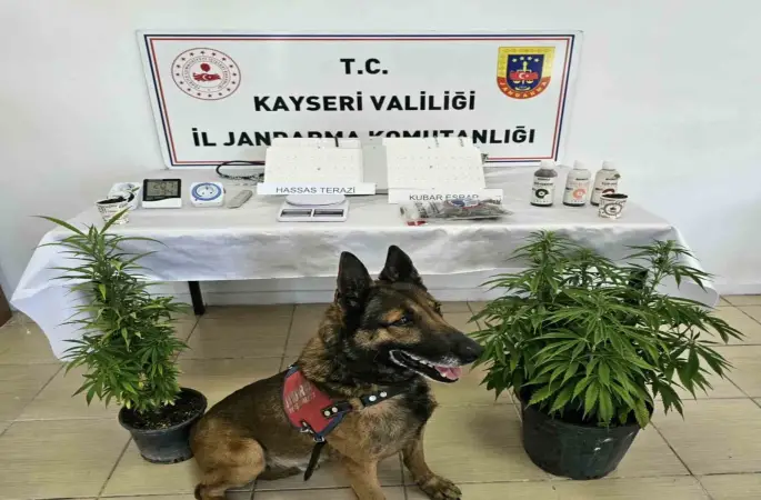 Kayseri’de uyuşturucu operasyonu
