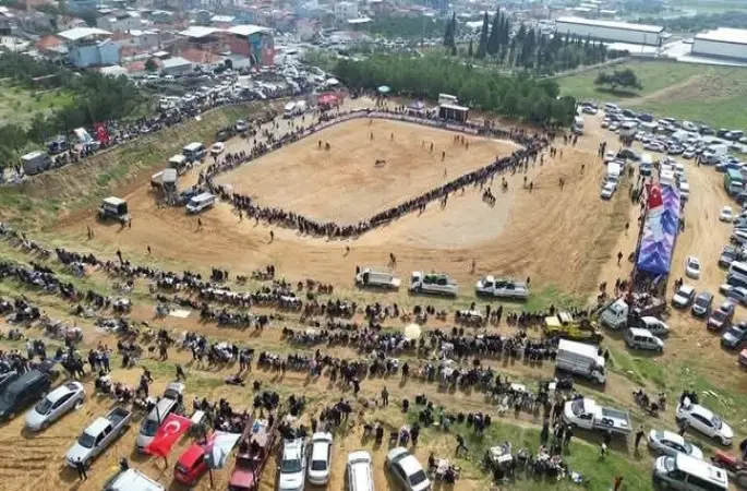 Kemalpaşa’da 3. Boğa Güreşi Festivali heyecanı
