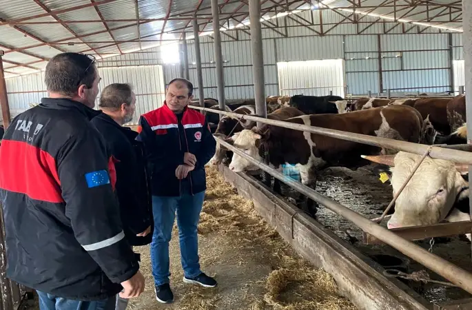 Kırklareli’nde besi çiftliği kontrolleri devam ediyor
