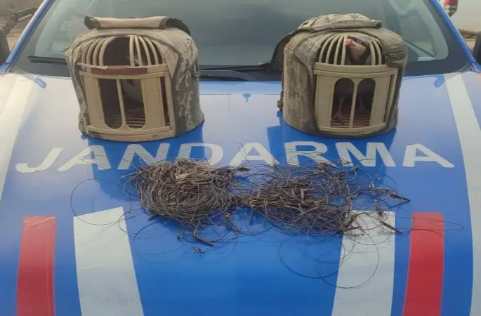 Kırşehir’de kaçak keklik avcıları yakalandı
