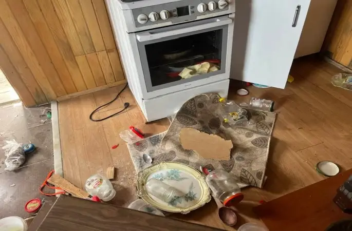 Kış uykusu bitti, ayı istilası başladı
