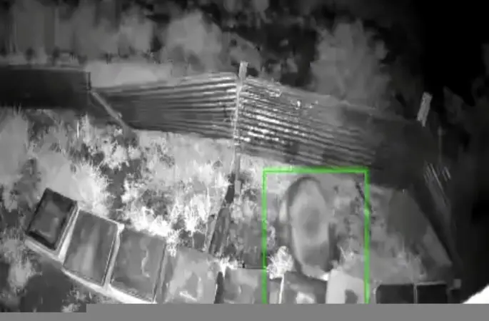 Kış uykusundan kalkan ayı, kovanlara saldırdı
