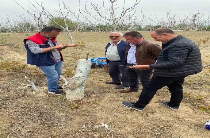 Koçarlı’da üreticilere "Cevizde Aşılama" eğitimi verilecek
