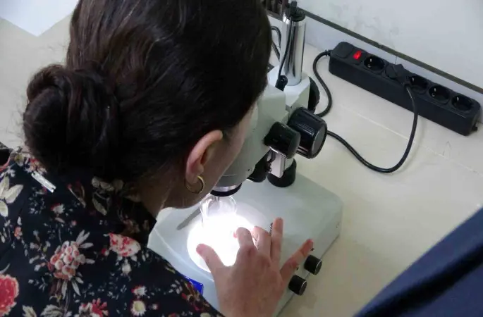 Kolorektal kanser tedavisi için yeni umut
