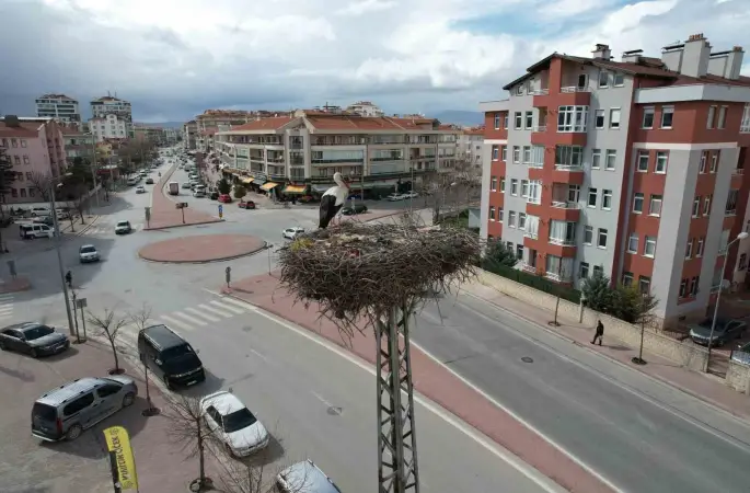 Konya’nın leylekleri direkteki yuvalarına geldi
